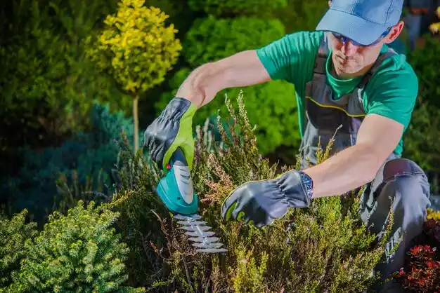 landscaping services Salem Heights